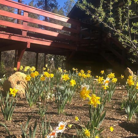 Villa Ahwahnee-Be Vintage Cabin - Walk To Town! Idyllwild Exterior foto