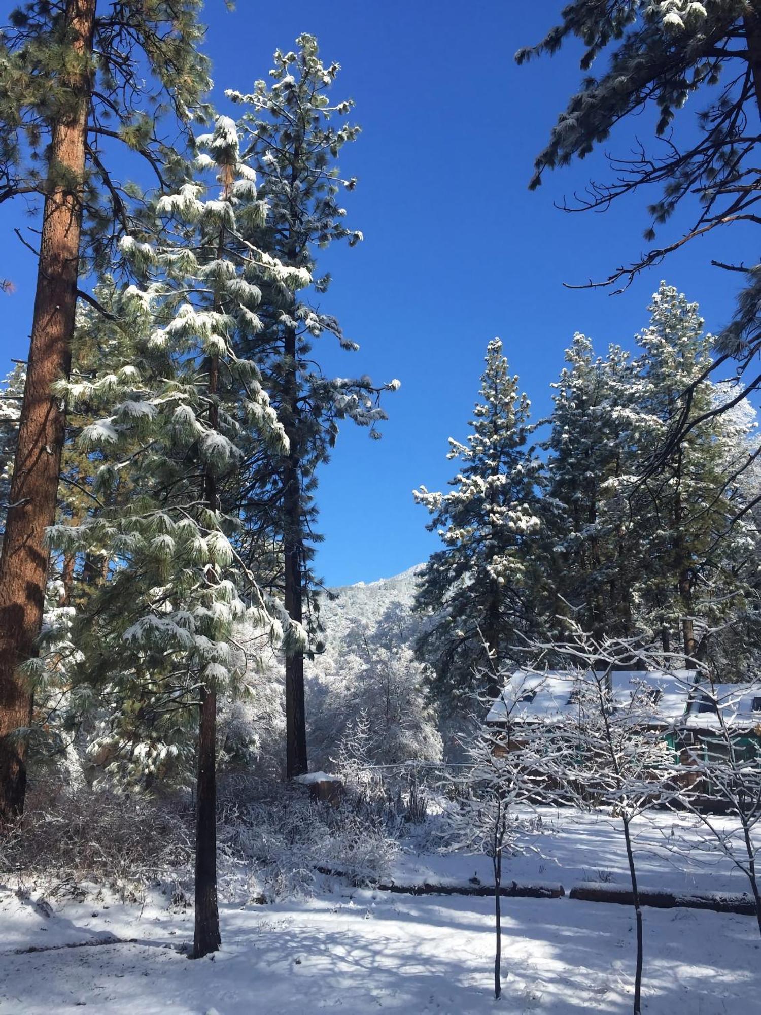 Villa Ahwahnee-Be Vintage Cabin - Walk To Town! Idyllwild Exterior foto