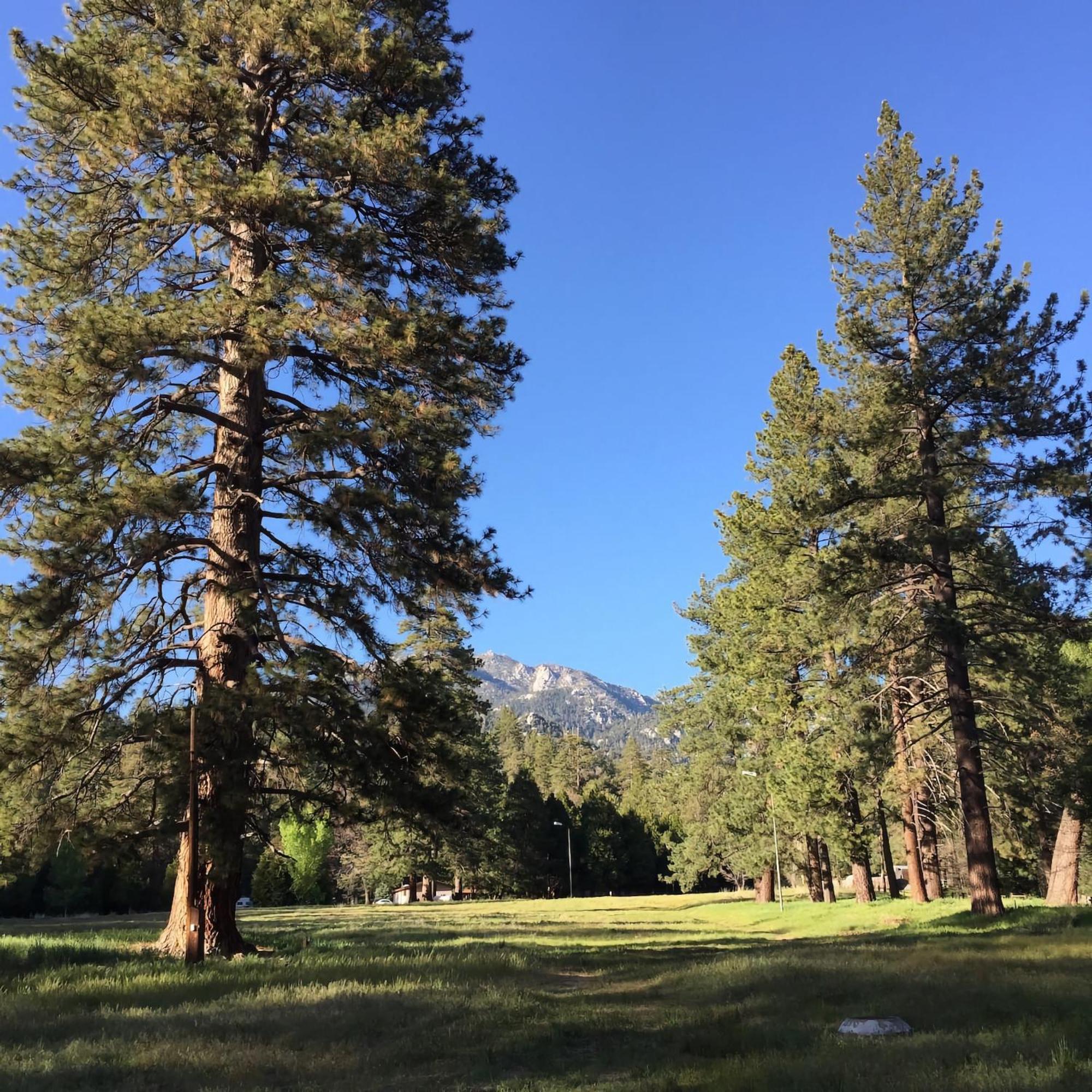 Villa Ahwahnee-Be Vintage Cabin - Walk To Town! Idyllwild Exterior foto